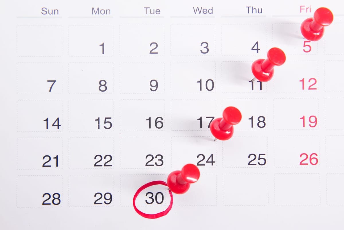 A wall calendar marked with dates — the game sale calendar